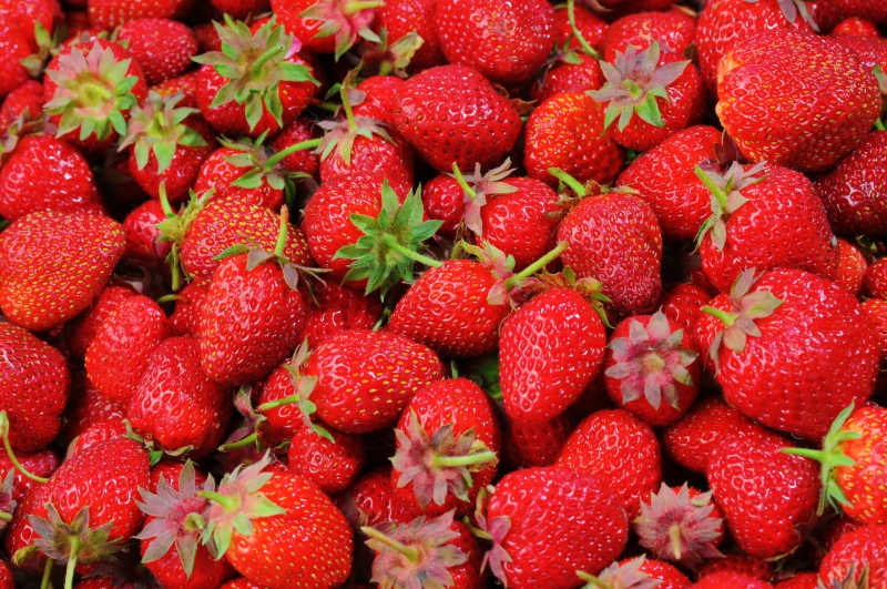 primeur-COLLONGUES-min_strawberries-528791